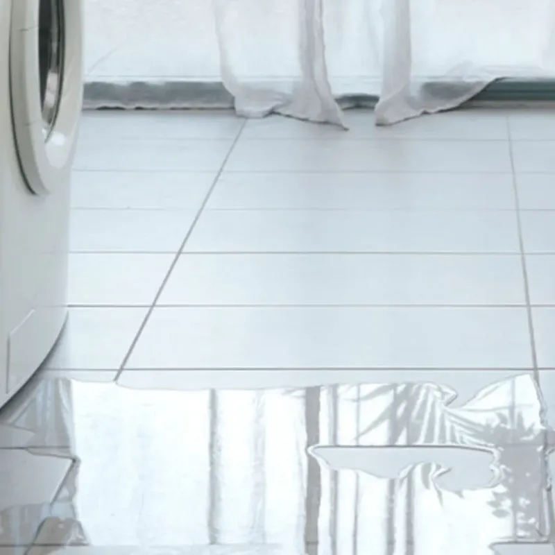 Appliance Leak Cleanup in Danville, AR