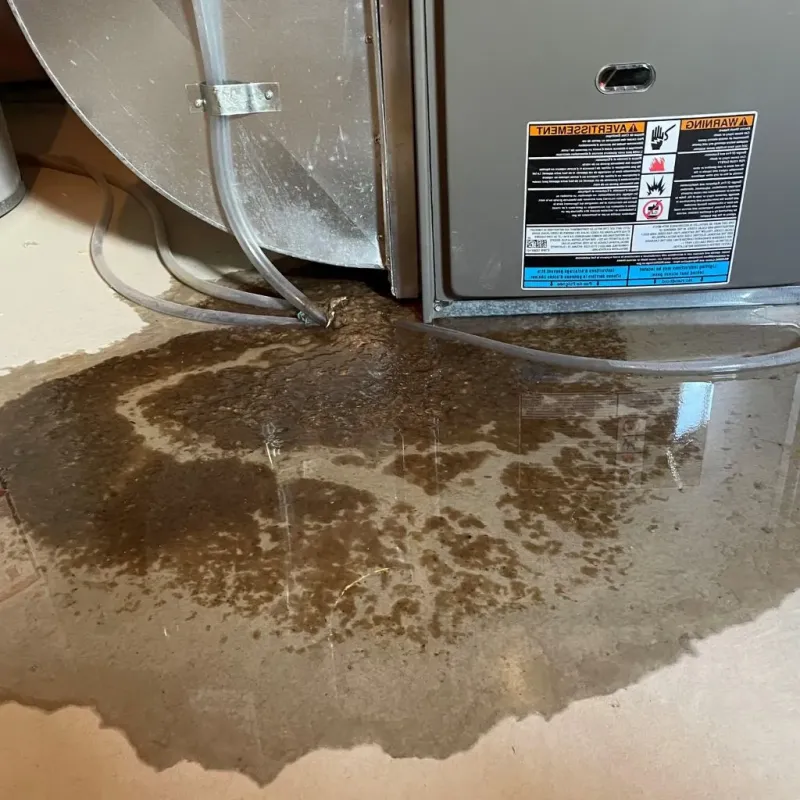 Pipe Burst and Leak Restoration in Danville, AR